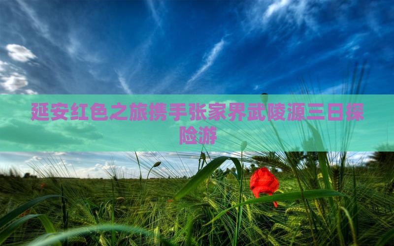 延安红色之旅携手张家界武陵源三日探险游