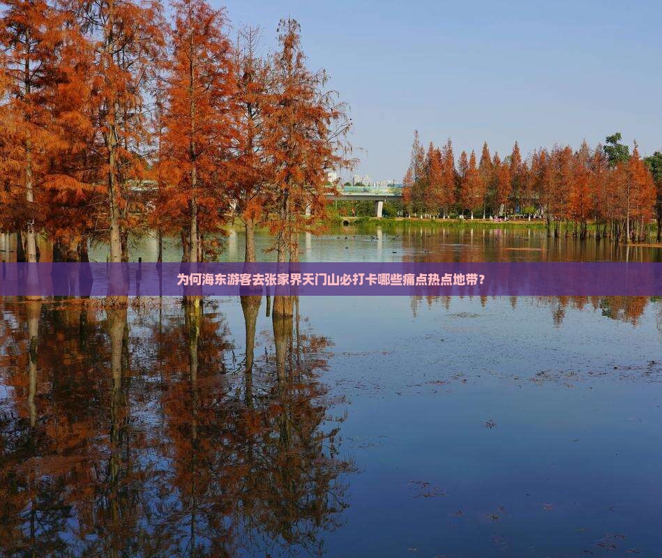 为何海东游客去张家界天门山必打卡哪些痛点热点地带？