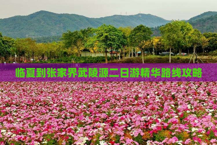 临夏到张家界武陵源二日游精华路线攻略
