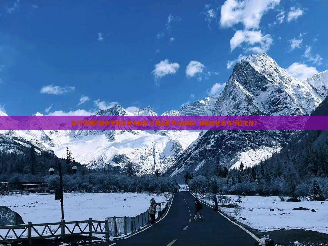 如何组织阿勒泰至张家界大峡谷的高品质团体旅游？有哪些优惠与行程推荐？