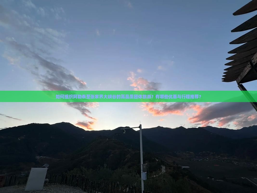 如何组织阿勒泰至张家界大峡谷的高品质团体旅游？有哪些优惠与行程推荐？