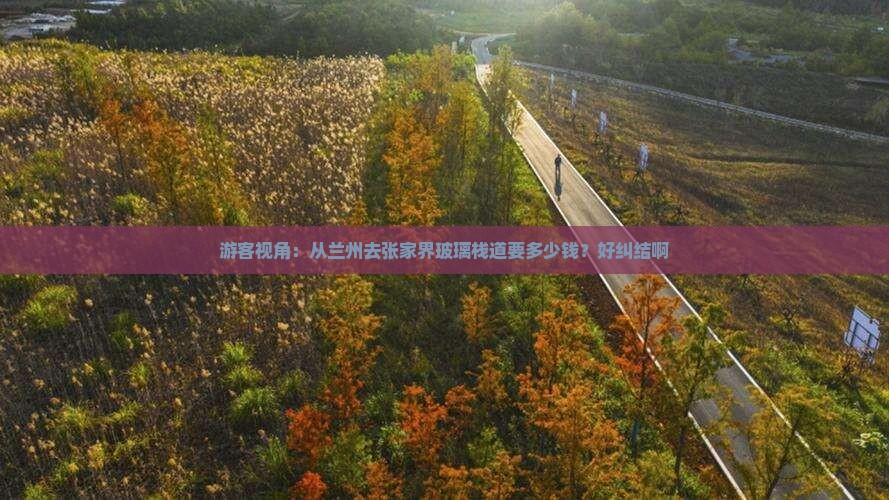 游客视角：从兰州去张家界玻璃栈道要多少钱？好纠结啊