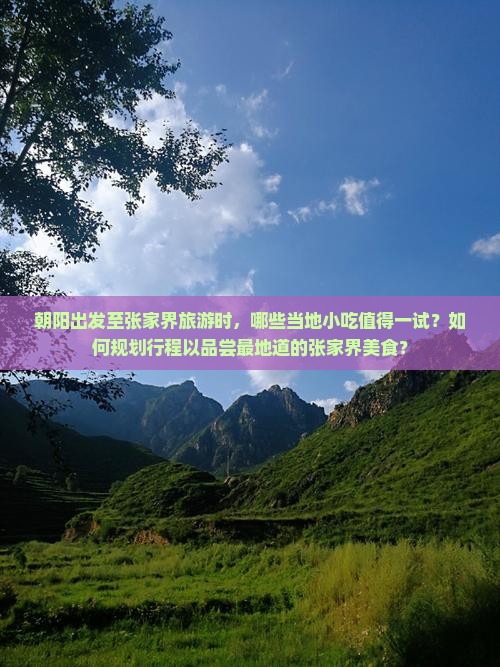 朝阳出发至张家界旅游时，哪些当地小吃值得一试？如何规划行程以品尝最地道的张家界美食？
