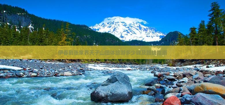 伊春到张家界天子山团体旅游多少钱及路线指南