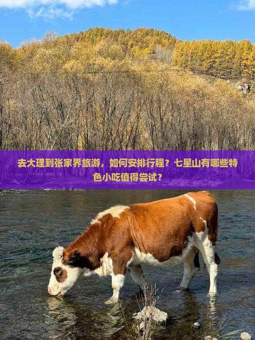 去大理到张家界旅游，如何安排行程？七星山有哪些特色小吃值得尝试？