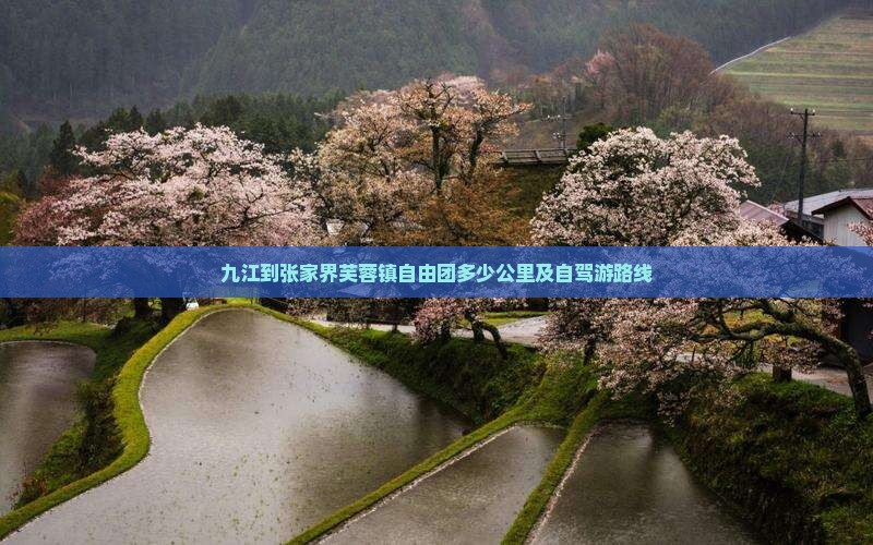 九江到张家界芙蓉镇自由团多少公里及自驾游路线