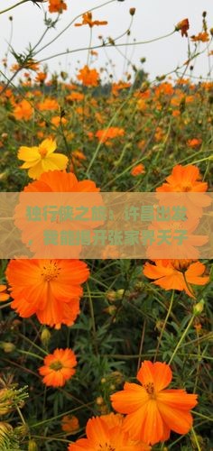 独行侠之旅：许昌出发，我能揭开张家界天子山的秘密吗？