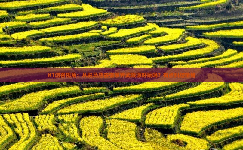 #1游客视角：从驻马店去张家界武陵源好玩吗？有点纠结情绪