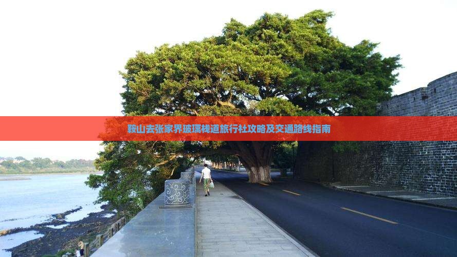 鞍山去张家界玻璃栈道旅行社攻略及交通路线指南