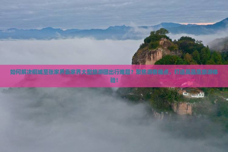 如何解决桐城至张家界袁家界大型旅游团出行难题？聚焦游客痛点，打造高品质旅游体验！