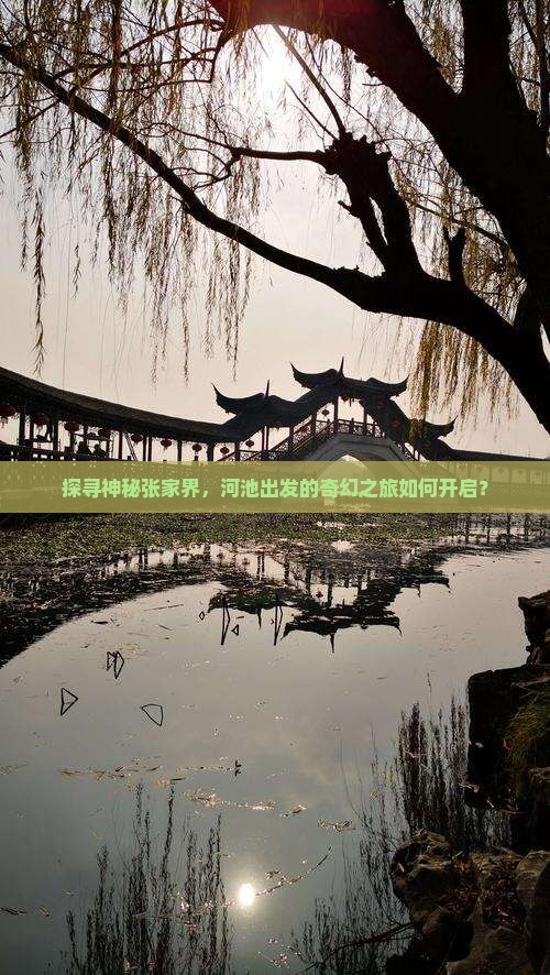 探寻神秘张家界，河池出发的奇幻之旅如何开启？