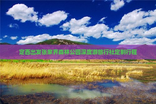 定西出发张家界森林公园深度游旅行社定制行程