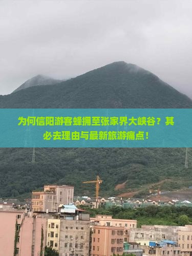 为何信阳游客蜂拥至张家界大峡谷？其必去理由与最新旅游痛点！