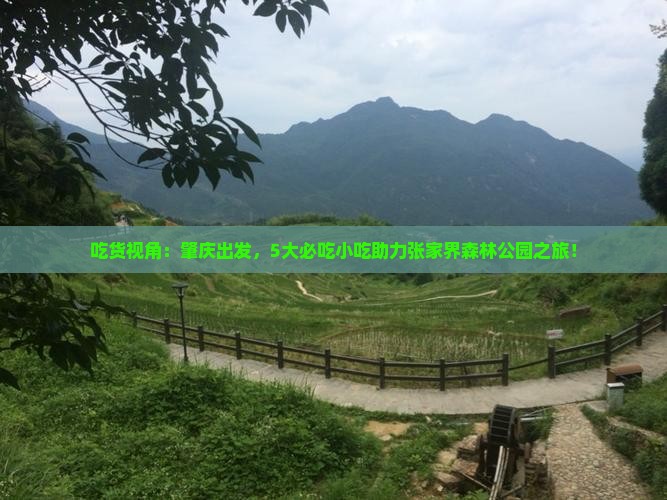 吃货视角：肇庆出发，5大必吃小吃助力张家界森林公园之旅！