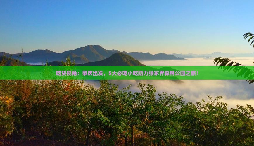 吃货视角：肇庆出发，5大必吃小吃助力张家界森林公园之旅！