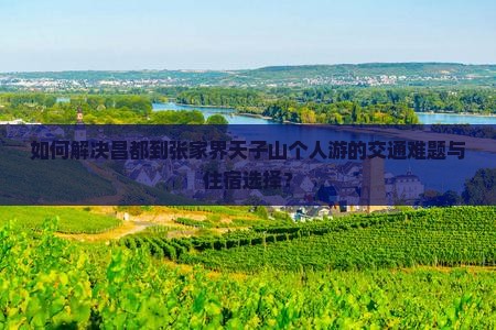 如何解决昌都到张家界天子山个人游的交通难题与住宿选择？