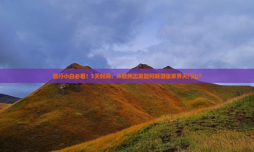 旅行小白必看！5天时间，从钦州出发如何畅游张家界天门山？
