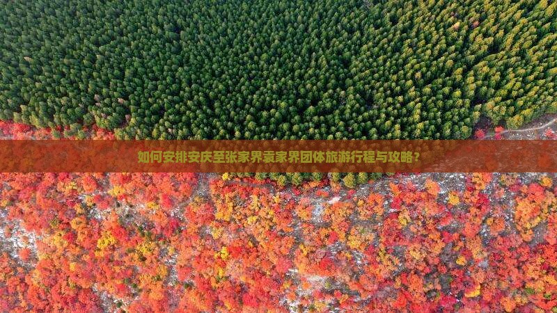 如何安排安庆至张家界袁家界团体旅游行程与攻略？