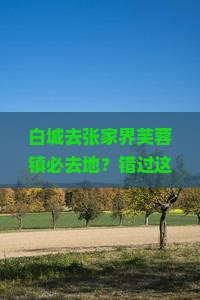白城去张家界芙蓉镇必去地？错过这些网红打卡点真的会后悔！
