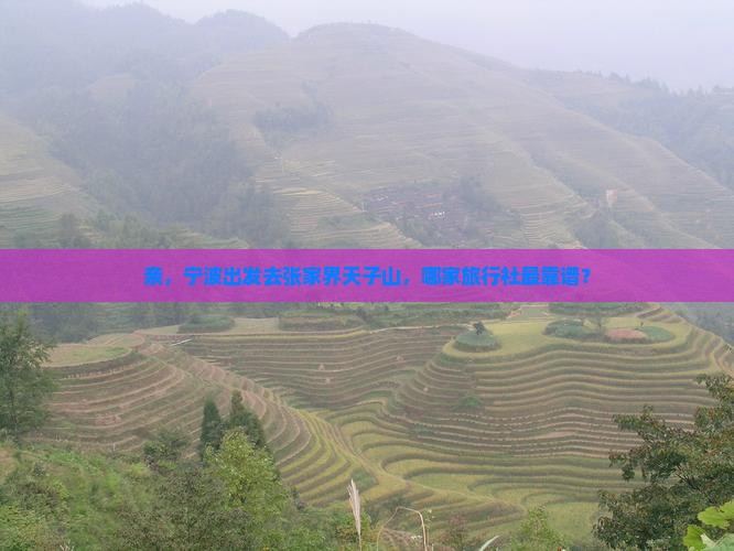 亲，宁波出发去张家界天子山，哪家旅行社最靠谱？