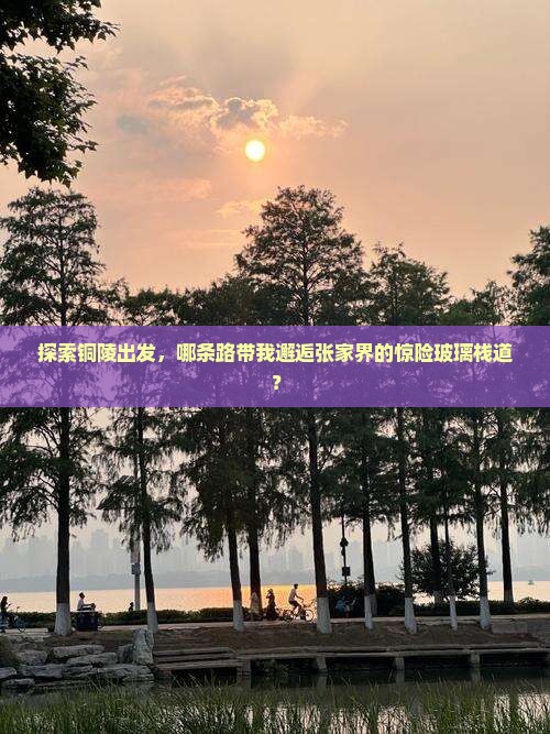 探索铜陵出发，哪条路带我邂逅张家界的惊险玻璃栈道？