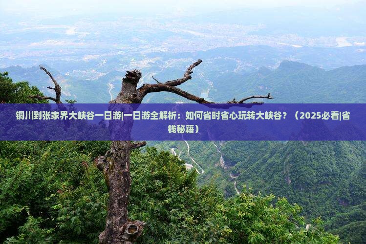 铜川到张家界大峡谷一日