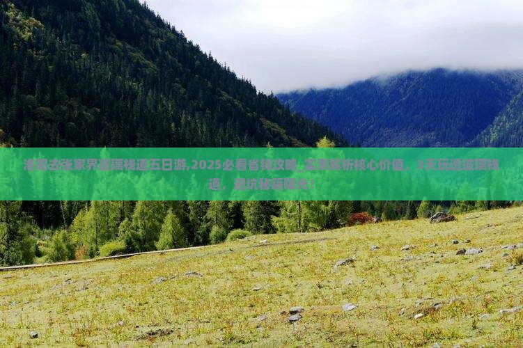 洛阳去张家界玻璃栈道五日游