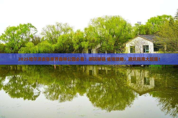 哈尔滨去张家界森林公园哪里玩