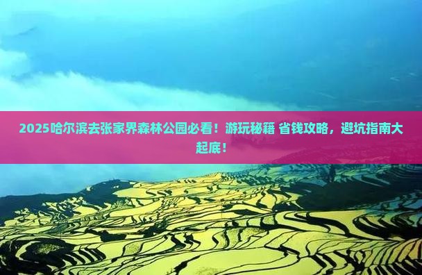 哈尔滨去张家界森林公园哪里玩