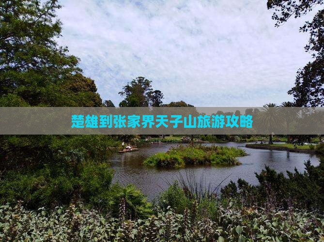 楚雄到张家界天子山大型旅游团