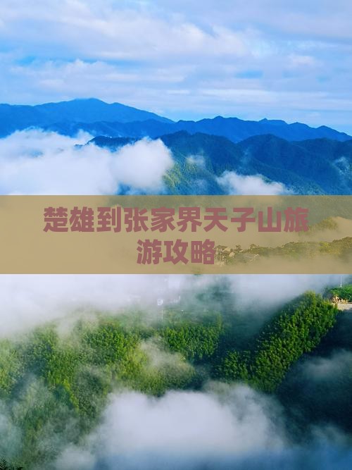 楚雄到张家界天子山大型旅游团