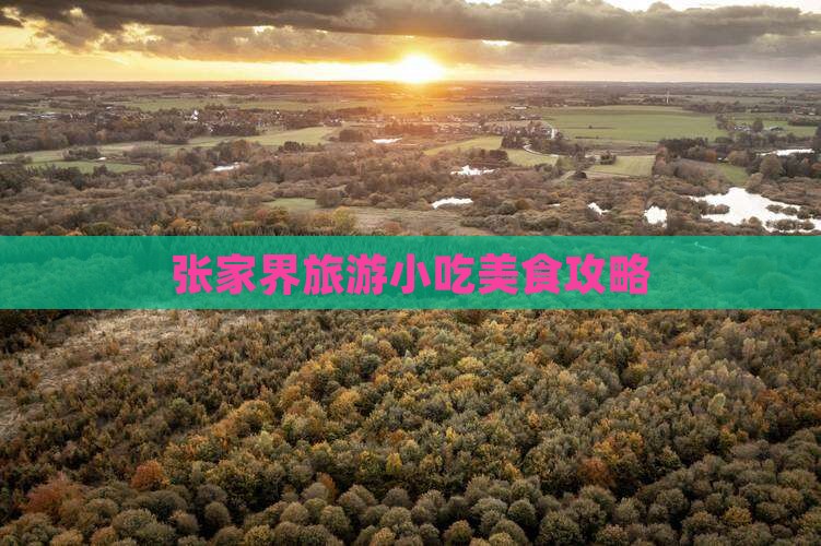 珠海去张家界旅游小吃