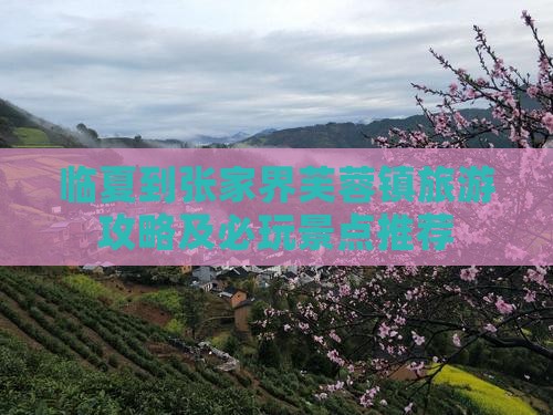 临夏去张家界芙蓉镇哪里玩