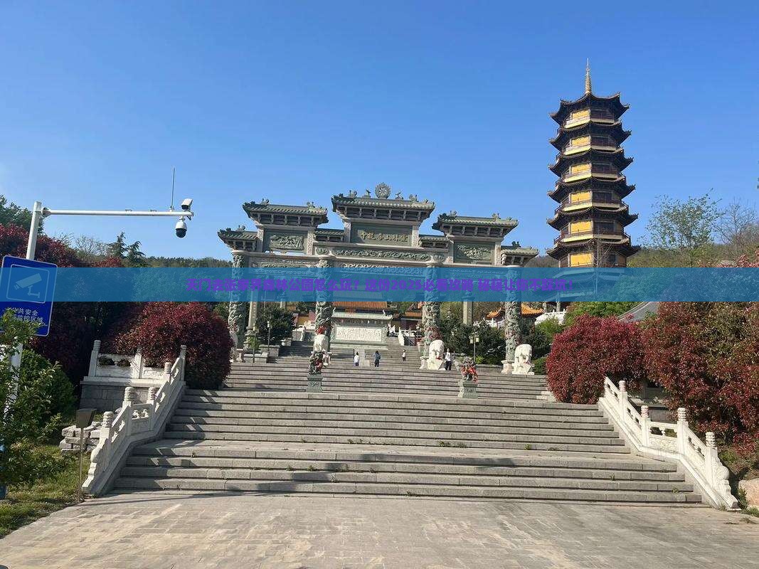 天门去张家界森林公园必去地