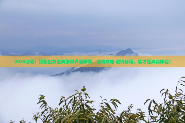 绥化到张家界袁家界旅游 绥化到张家界袁家界旅游