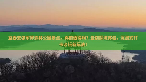 宜春去张家界森林公园景点 宜春去张家界森林公园景点
