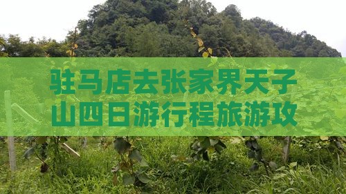 驻马店去张家界天子山四日游