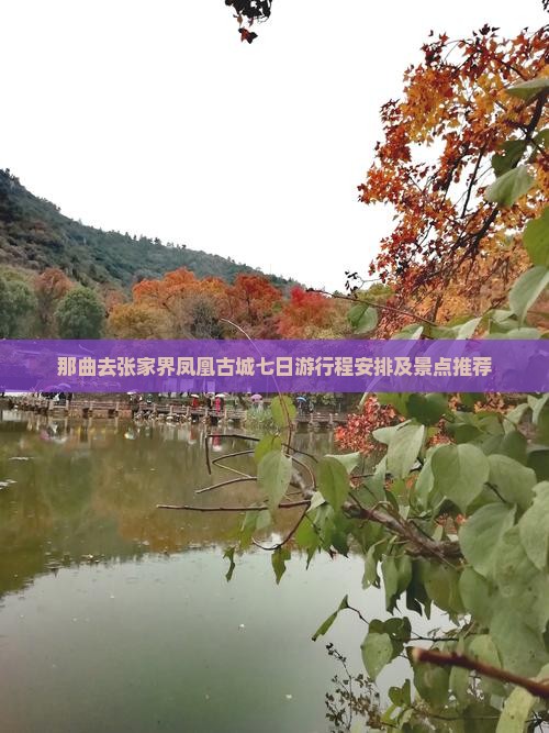 那曲去张家界凤凰古城七日游