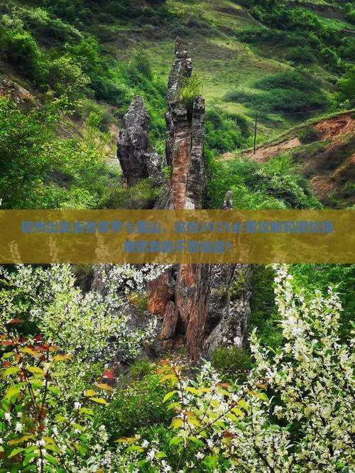 钦州去张家界七星山大型旅游团