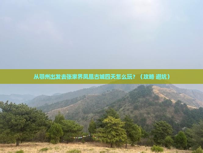 鄂州去张家界凤凰古城四日游