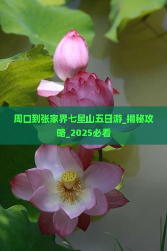 周口到张家界七星山五日游