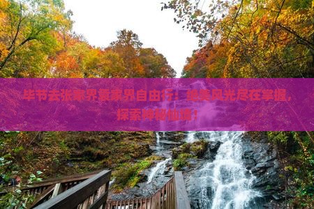 毕节去张家界袁家界自由行