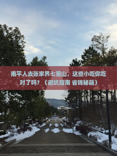 南平去张家界七星山旅游小吃