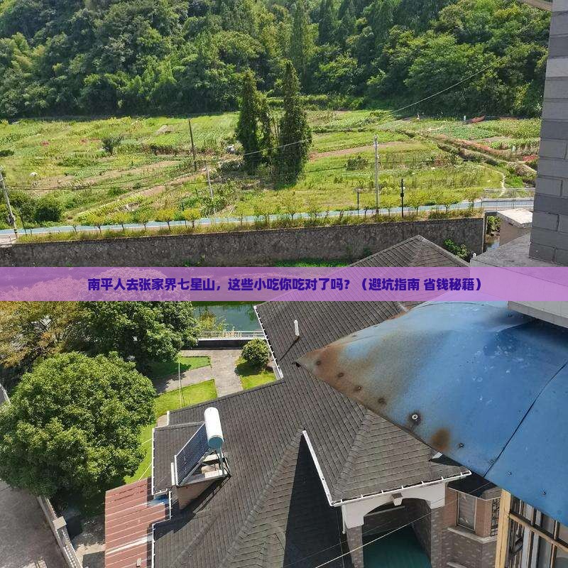 南平去张家界七星山旅游小吃