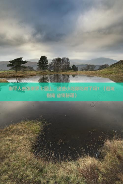 南平去张家界七星山旅游小吃