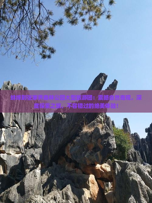 蚌埠到张家界森林公园大型旅游团