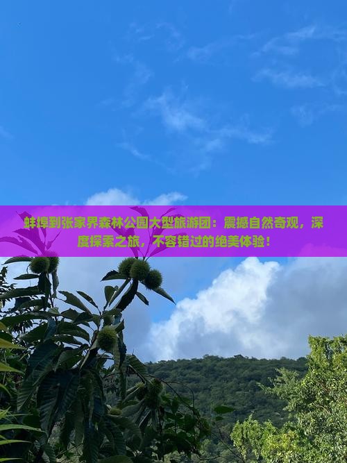 蚌埠到张家界森林公园大型旅游团