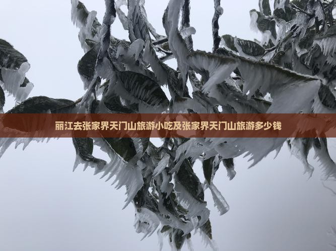 丽江去张家界天门山旅游小吃