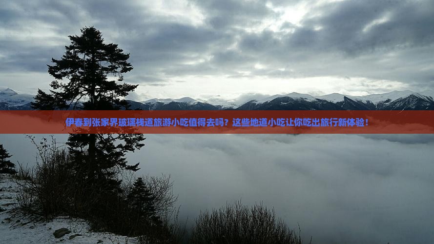 伊春到张家界玻璃栈道旅游小吃