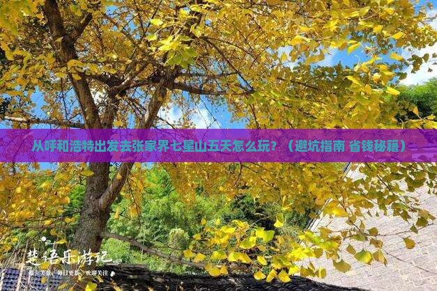 呼和浩特去张家界七星山五日游